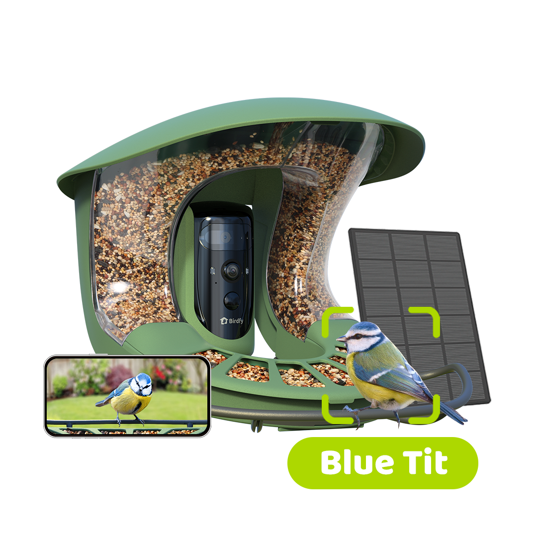 Birdfy Feeder 2 Pro Smart Bird Feeder with Dual Camera image 1