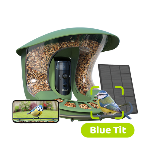 Birdfy Feeder 2 Pro Smart Bird Feeder with Dual Camera image 1