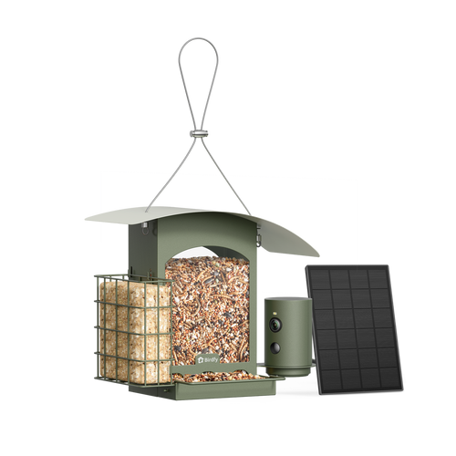 Birdfy Feeder Metal Smart Bird Feeder with Camera and Solar image 1