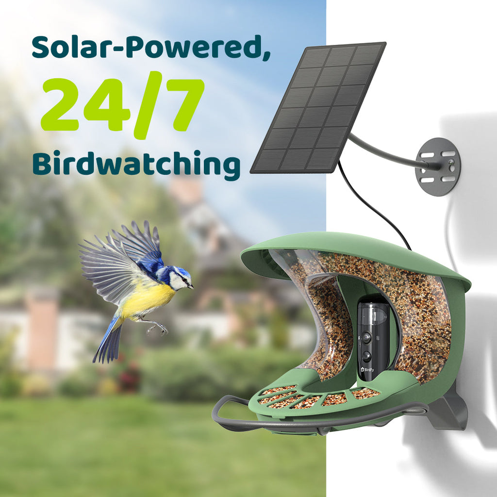 Birdfy Feeder 2 Pro Smart Bird Feeder with Dual Camera image 2