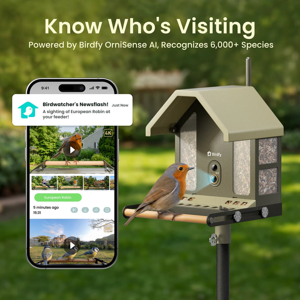 Birdfy Feeder Metal 2 4K Smart Bird Feeder with Camera image 2