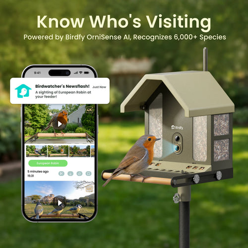 Birdfy Feeder Metal 2 4K Smart Bird Feeder with Camera image 2